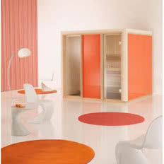 Sauna Infrarot Vision