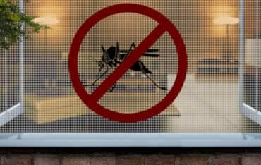 Moskitiery okienne Wichers