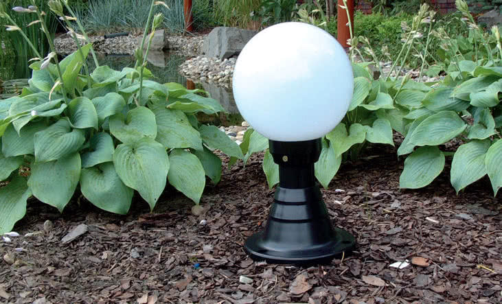 ROSA - Zobacz swój ogród w nowym świetle