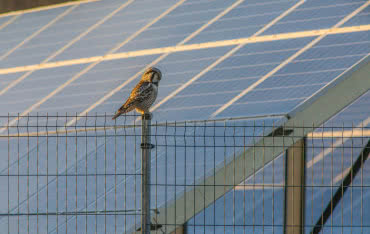 Ruszają prace nad poprawą programu "Czyste Powietrze"