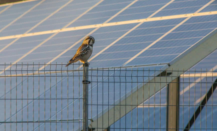 Ruszają prace nad poprawą programu "Czyste Powietrze"