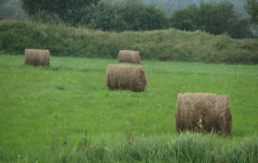 Polskie OZE otrzyma pożyczkę z Banku Światowego