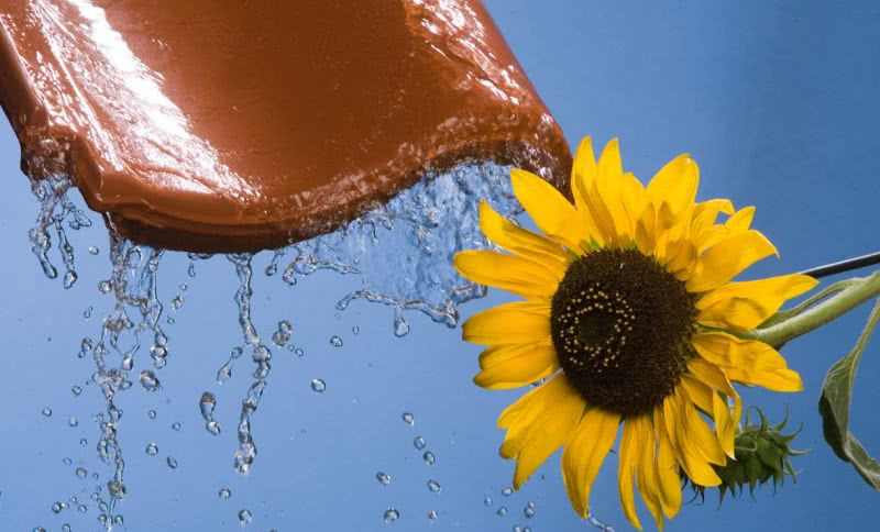 Dni Otwarte z super cenami na produkty Röben!