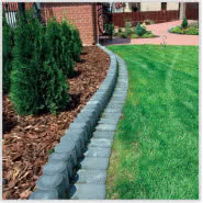 Palisada księżycowa