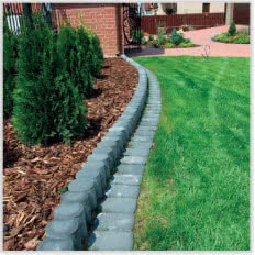 Palisada księżycowa