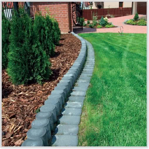 Palisada księżycowa