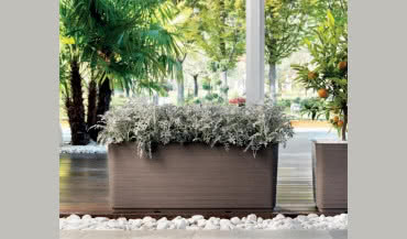 Aranżacja zieleni na tarasie i balkonie. Co będzie potrzebne?