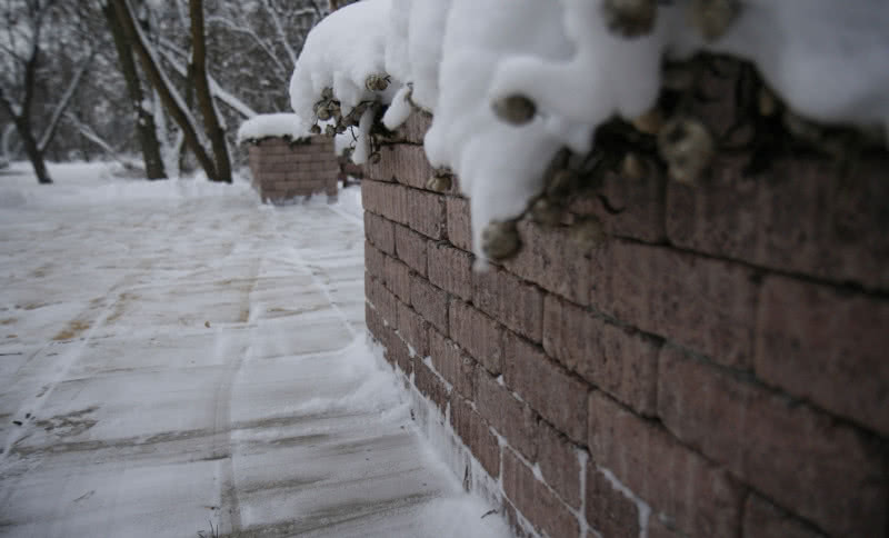 Darmowy projekt nawierzchni od Libet