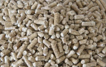 Wysokie notowania Widok Energia na giełdzie NewConnect