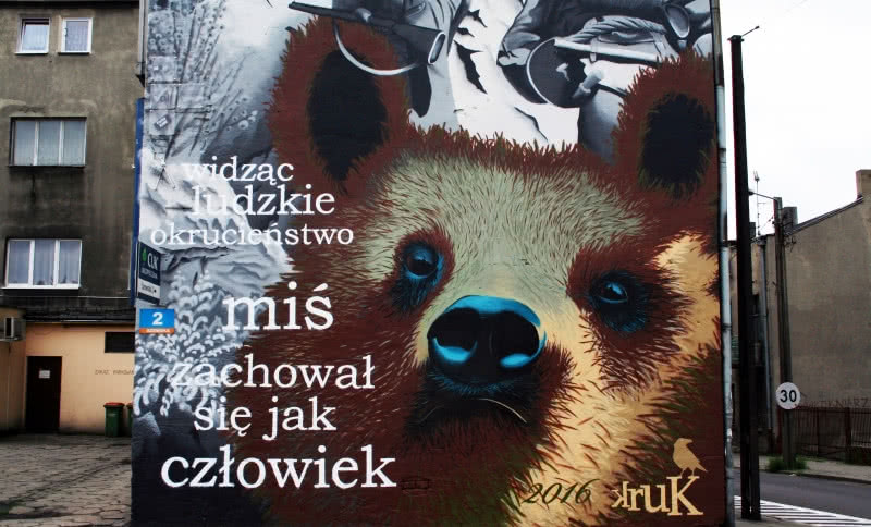 Mural z wykorzystaniem produktów Farby KABE Polska