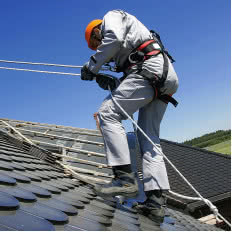 Szelki bezpieczeństwa P 71