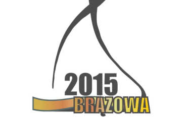 Junkers z wyróżnieniem "Brązowa Budowlana Marka Roku 2015"