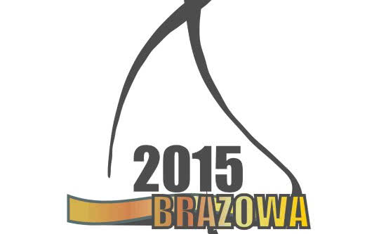 Junkers z wyróżnieniem "Brązowa Budowlana Marka Roku 2015"