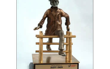 DRUTEX wyróżniony Złotym Oxerem