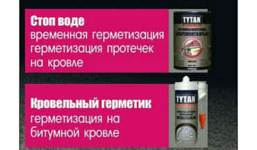 Grupa Selena na targach w Nowosybirsku