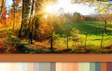 Jak wybrać idealny kolor? Poznaj system Caparol 3D