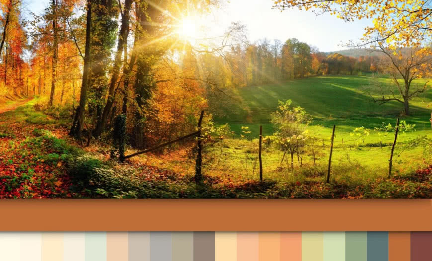 Jak wybrać idealny kolor? Poznaj system Caparol 3D