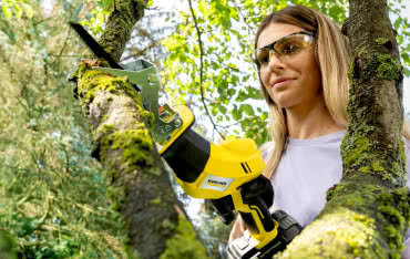 Kiedy i jak często przycinać gałęzie drzew? Poradnik dla każdego ogrodnika