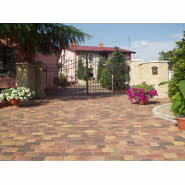 Kostka brukowa Złota jesień