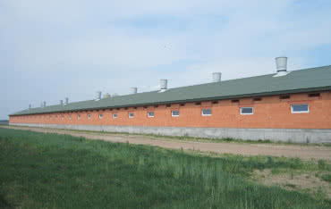 Polscy rolnicy inwestują w gospodarstwa hodowlane