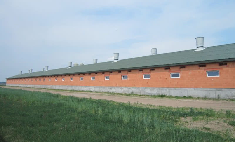 Polscy rolnicy inwestują w gospodarstwa hodowlane