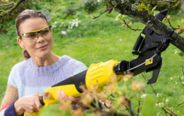 Cięcie drzew owocowych: kiedy, jak i czym?