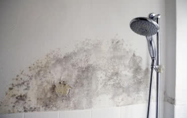 Jak się pozbyć grzyba w domu, a zwłaszcza w łazience? 