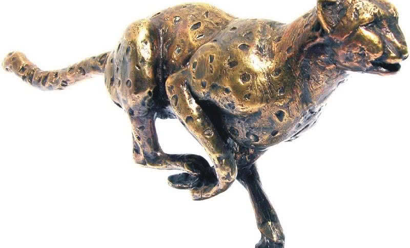 Terma Technologie Gepardem Biznesu