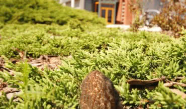 Proekologiczna postawa firmy INVADO