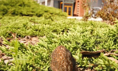 Proekologiczna postawa firmy INVADO