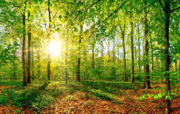 Promiennik ECOSUN® BASIC 850W ze spersonalizowanym nadrukiem