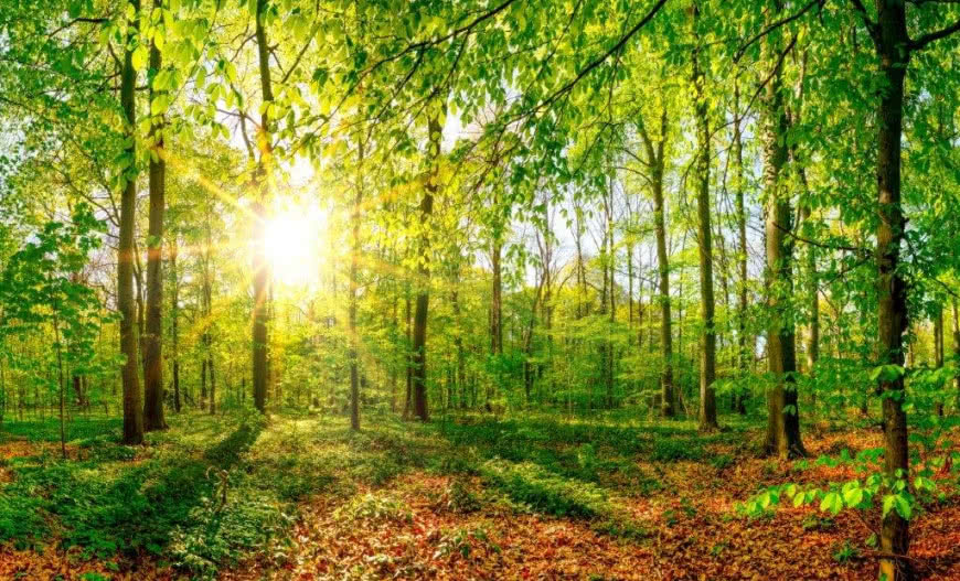 Promiennik ECOSUN® BASIC 850W ze spersonalizowanym nadrukiem