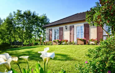 Wykwity i glony - jak zabezpieczyć przed nimi elewację? 