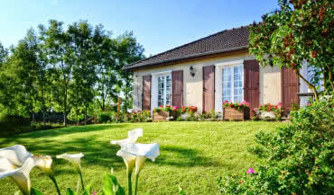 Wykwity i glony - jak zabezpieczyć przed nimi elewację? 