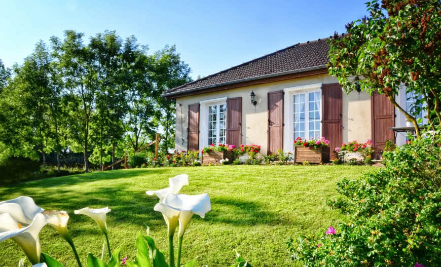 Wykwity i glony - jak zabezpieczyć przed nimi elewację? 