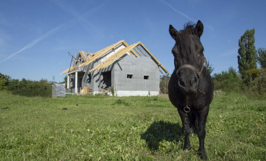 Budownictwo ekologiczne – moda czy konieczność?