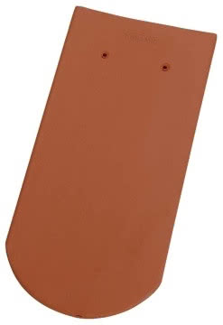 Karpiówka półokrągła