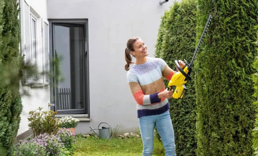 Kiedy, jak i czym przycinać tuje? 