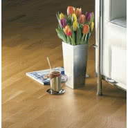 Kolekcja podłóg Professional