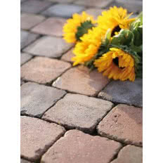 Kostka brukowa Polbruk COUNTRY