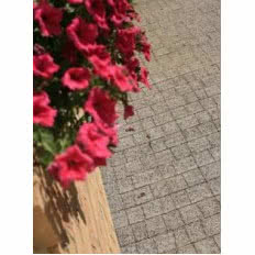 Kostka brukowa Polbruk BEGANIT