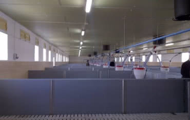 Recticel Izolacje na Targach AGROTECH w dniach 08.03-10.03.2013