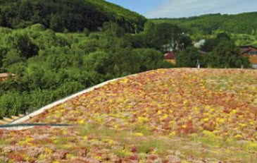 Bauder dba o rozwój dachów zielonych