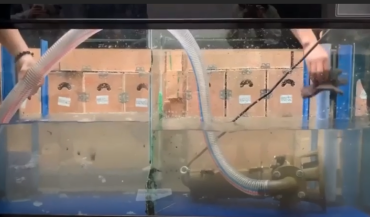 Test pompy z rozdrabniaczem ZWQ 1500