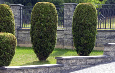 Jesienna promocja w firmie Joniec