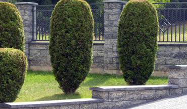 Jesienna promocja w firmie Joniec