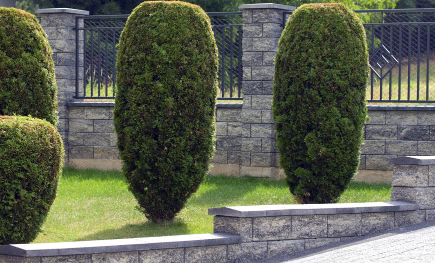 Jesienna promocja w firmie Joniec