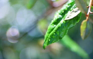 Co powinniśmy wiedzieć na temat Dyrektywy Europejskiej ErP?