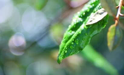 Co powinniśmy wiedzieć na temat Dyrektywy Europejskiej ErP?