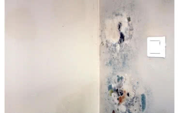 Jak zabezpieczyć piwnicę przed wilgocią? 